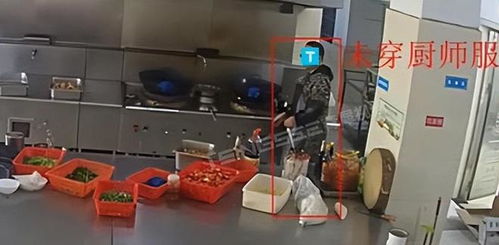 easycvr ai技術(shù)助力食品加工廠管理透明化,構(gòu)建食品安全防線